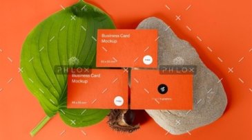 demo-attachment-33-5q71up9s